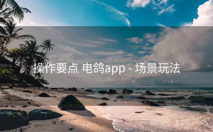 操作要点 电鸽app - 场景玩法