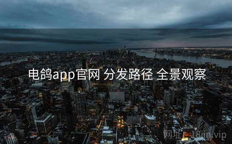 电鸽app官网 分发路径 全景观察  第1张