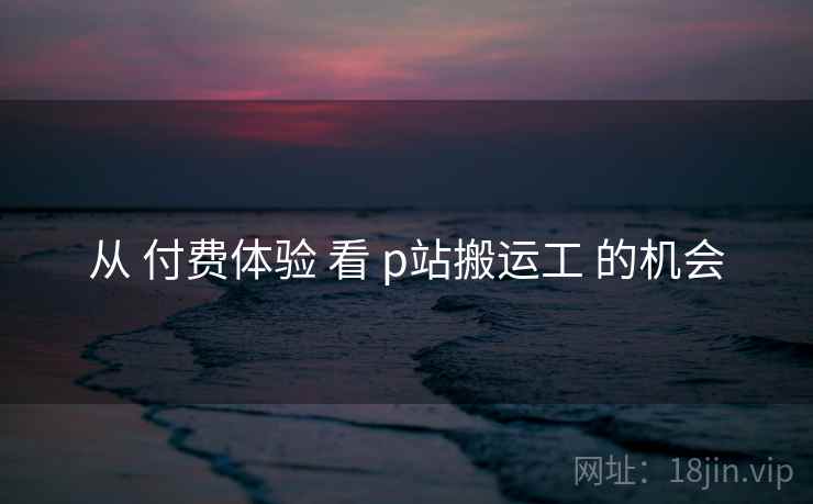 从 付费体验 看 p站搬运工 的机会