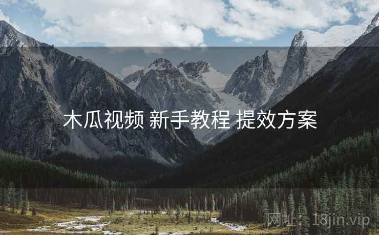 木瓜视频 新手教程 提效方案