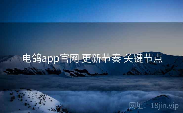 电鸽app官网 更新节奏 关键节点