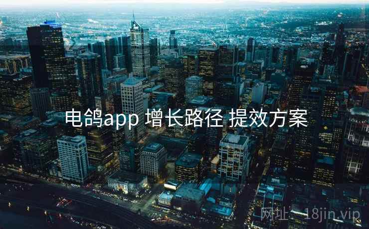 电鸽app 增长路径 提效方案  第2张
