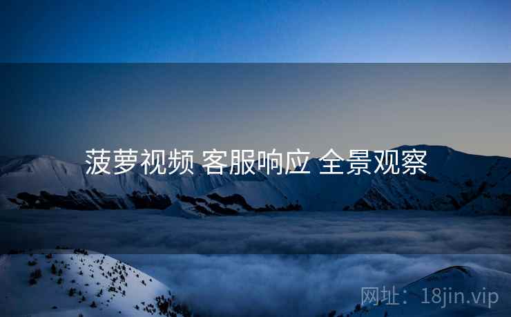 菠萝视频 客服响应 全景观察  第1张