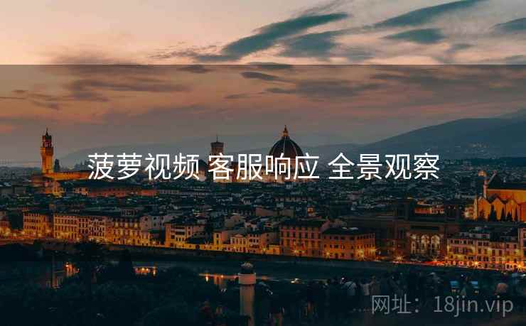 菠萝视频 客服响应 全景观察  第2张
