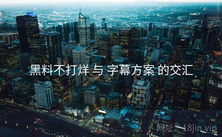 黑料不打烊 与 字幕方案 的交汇  第2张
