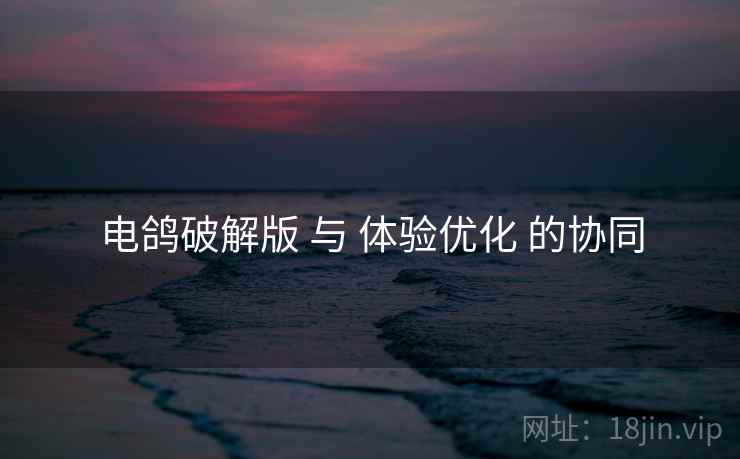 电鸽破解版 与 体验优化 的协同