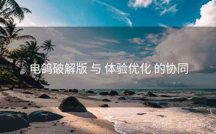 电鸽破解版 与 体验优化 的协同