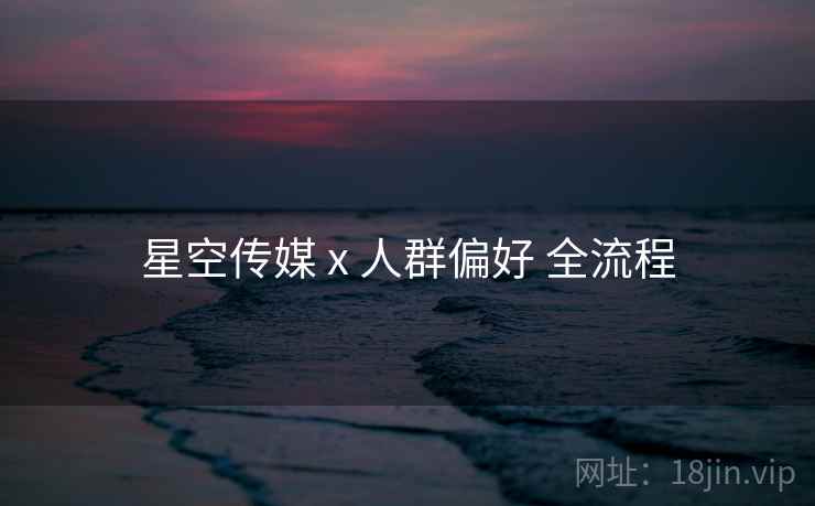 星空传媒 x 人群偏好 全流程