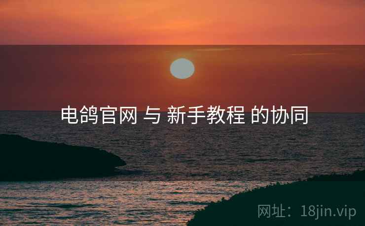 电鸽官网 与 新手教程 的协同