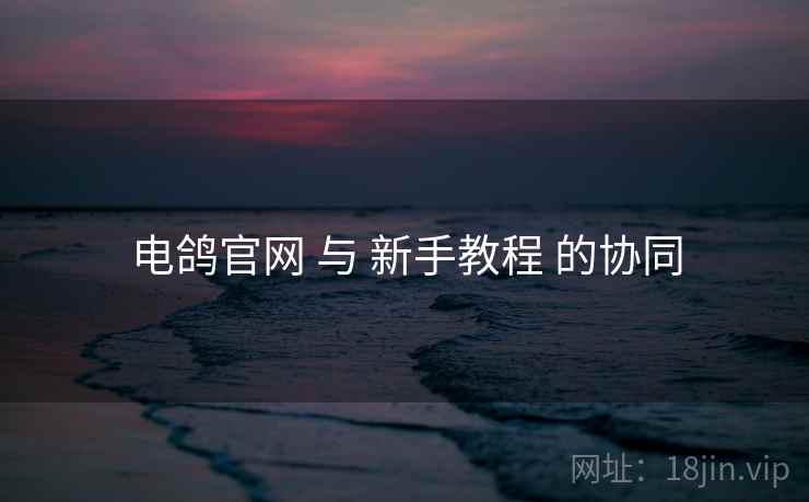 电鸽官网 与 新手教程 的协同