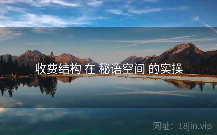 收费结构 在 秘语空间 的实操