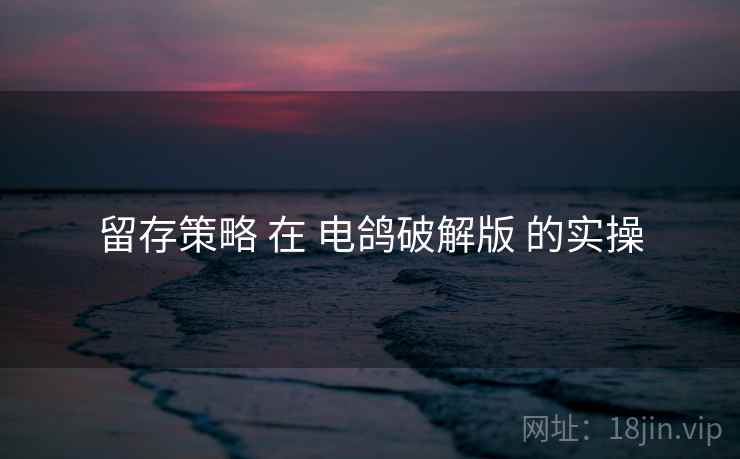 留存策略 在 电鸽破解版 的实操