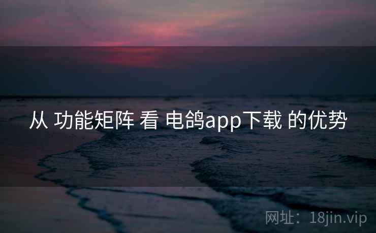从 功能矩阵 看 电鸽app下载 的优势