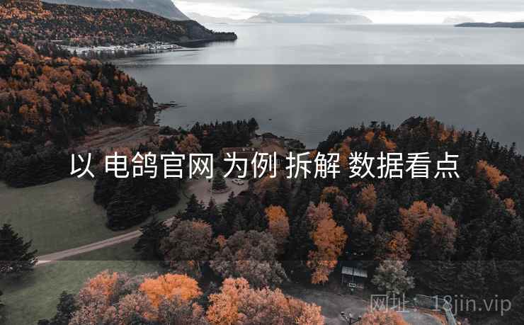 以 电鸽官网 为例 拆解 数据看点