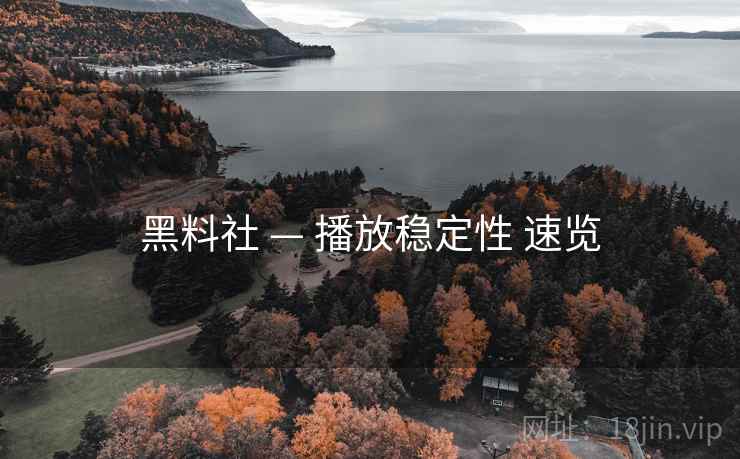 黑料社 — 播放稳定性 速览