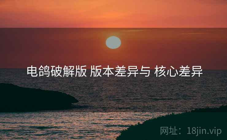 电鸽破解版 版本差异与 核心差异
