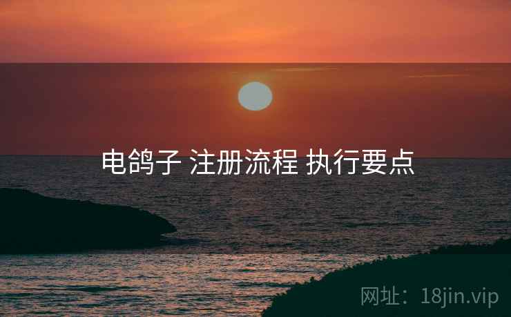 电鸽子 注册流程 执行要点  第2张