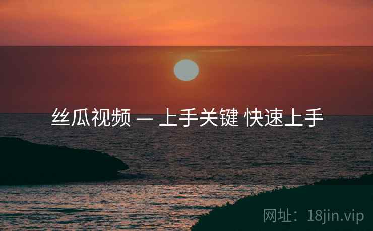 丝瓜视频 — 上手关键 快速上手
