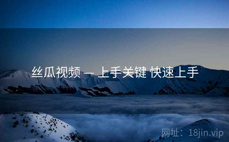 丝瓜视频 — 上手关键 快速上手