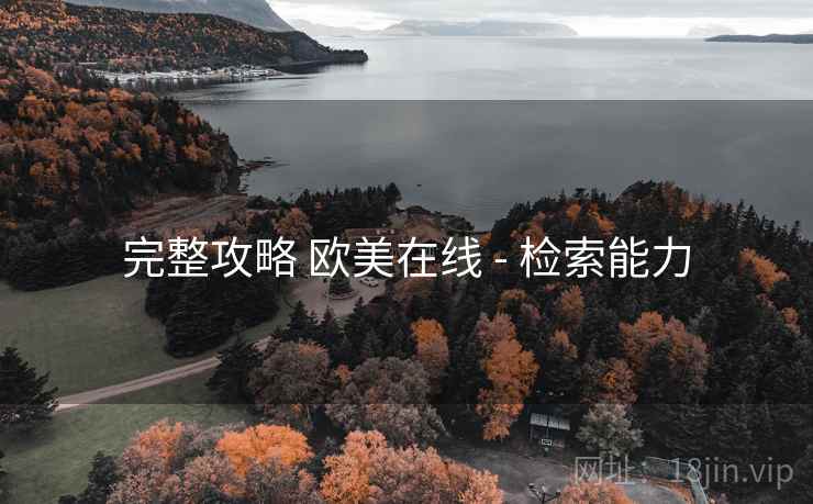 完整攻略 欧美在线 - 检索能力
