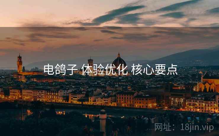 电鸽子 体验优化 核心要点