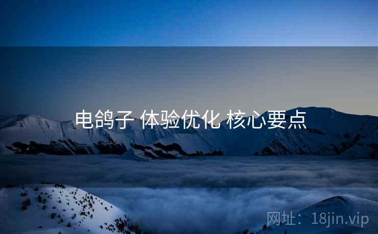 电鸽子 体验优化 核心要点