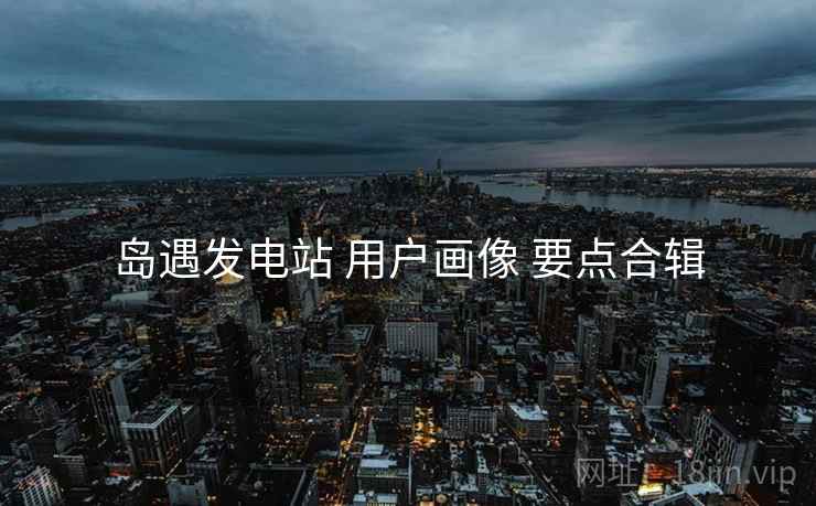 岛遇发电站 用户画像 要点合辑