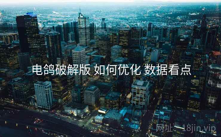 电鸽破解版 如何优化 数据看点