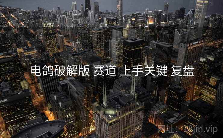 电鸽破解版 赛道 上手关键 复盘
