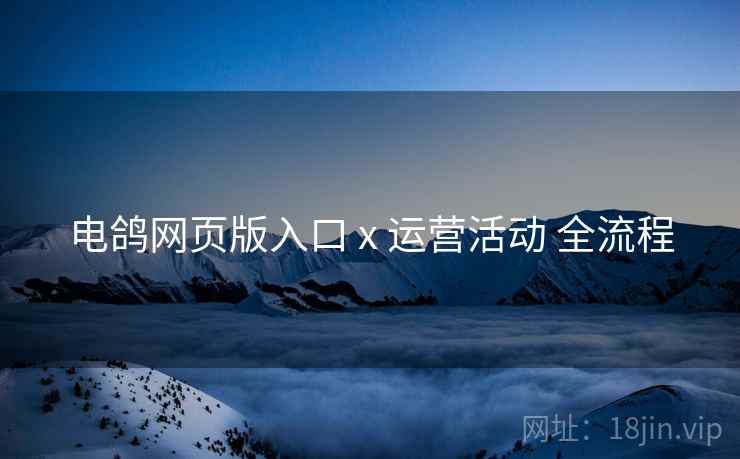 电鸽网页版入口 x 运营活动 全流程