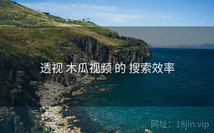 透视 木瓜视频 的 搜索效率