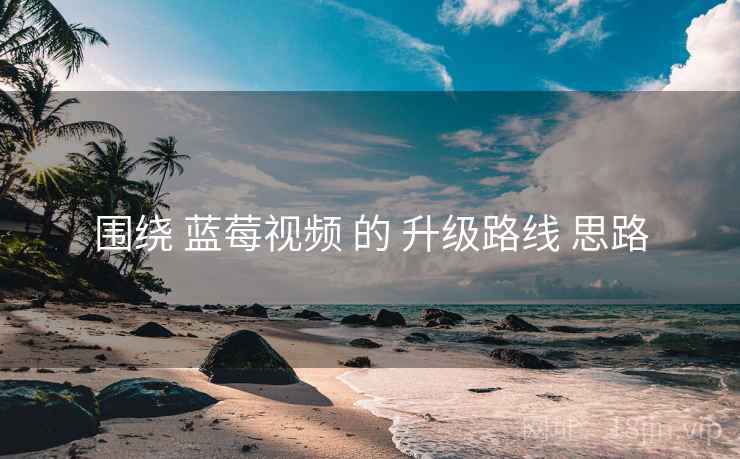 围绕 蓝莓视频 的 升级路线 思路  第2张