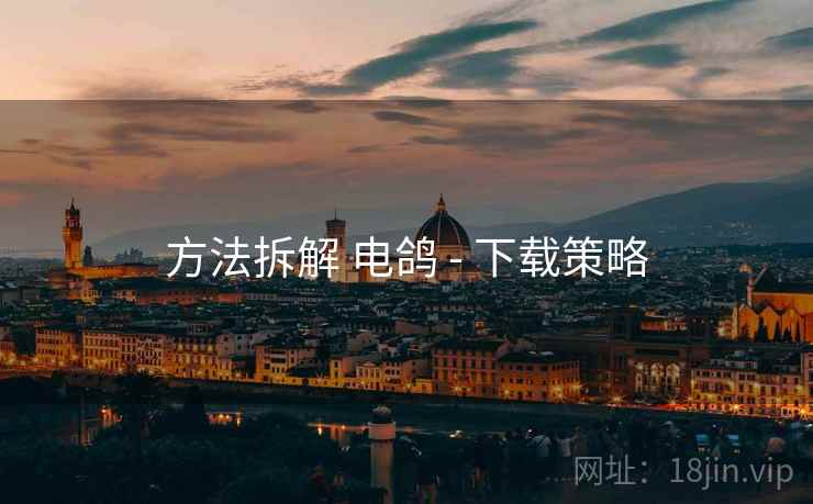 方法拆解 电鸽 - 下载策略