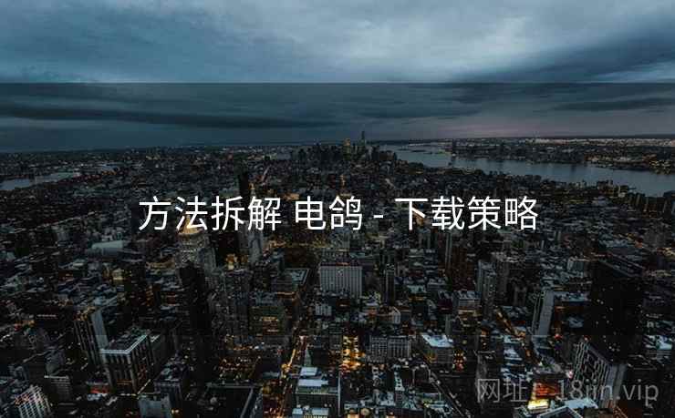 方法拆解 电鸽 - 下载策略