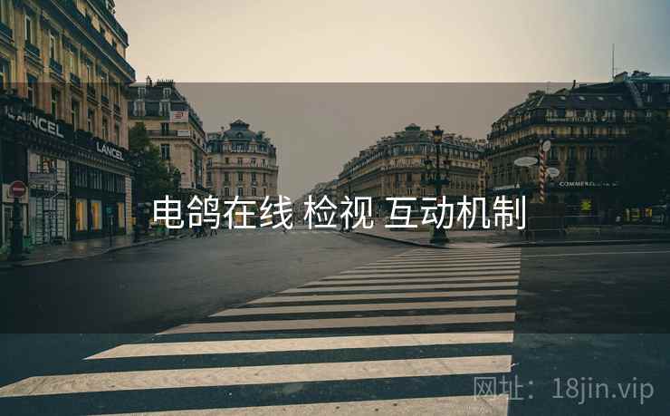 电鸽在线 检视 互动机制