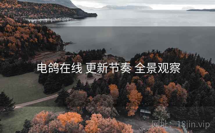 电鸽在线 更新节奏 全景观察