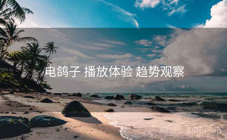 电鸽子 播放体验 趋势观察